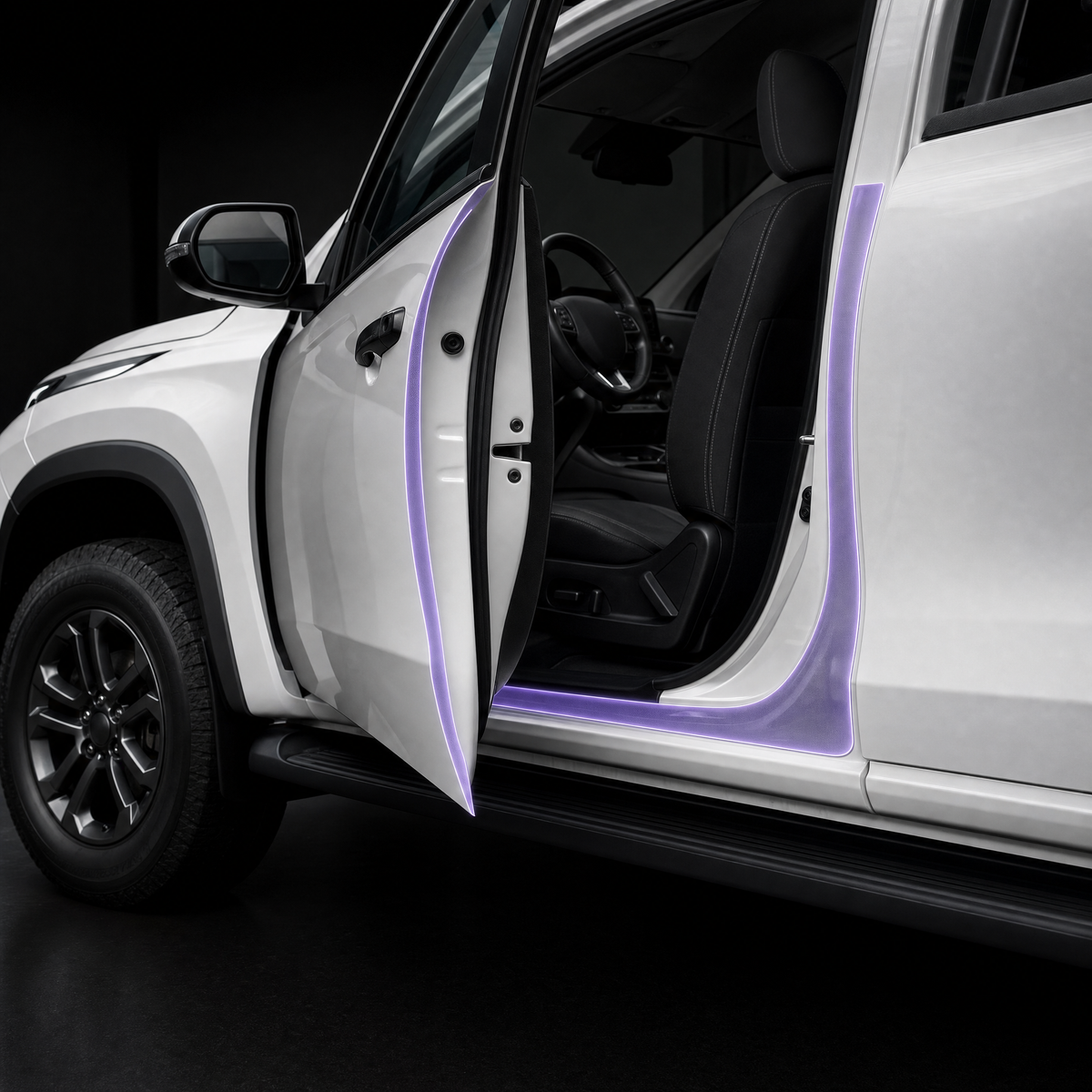Door Seal Protection - Mitsubishi Triton