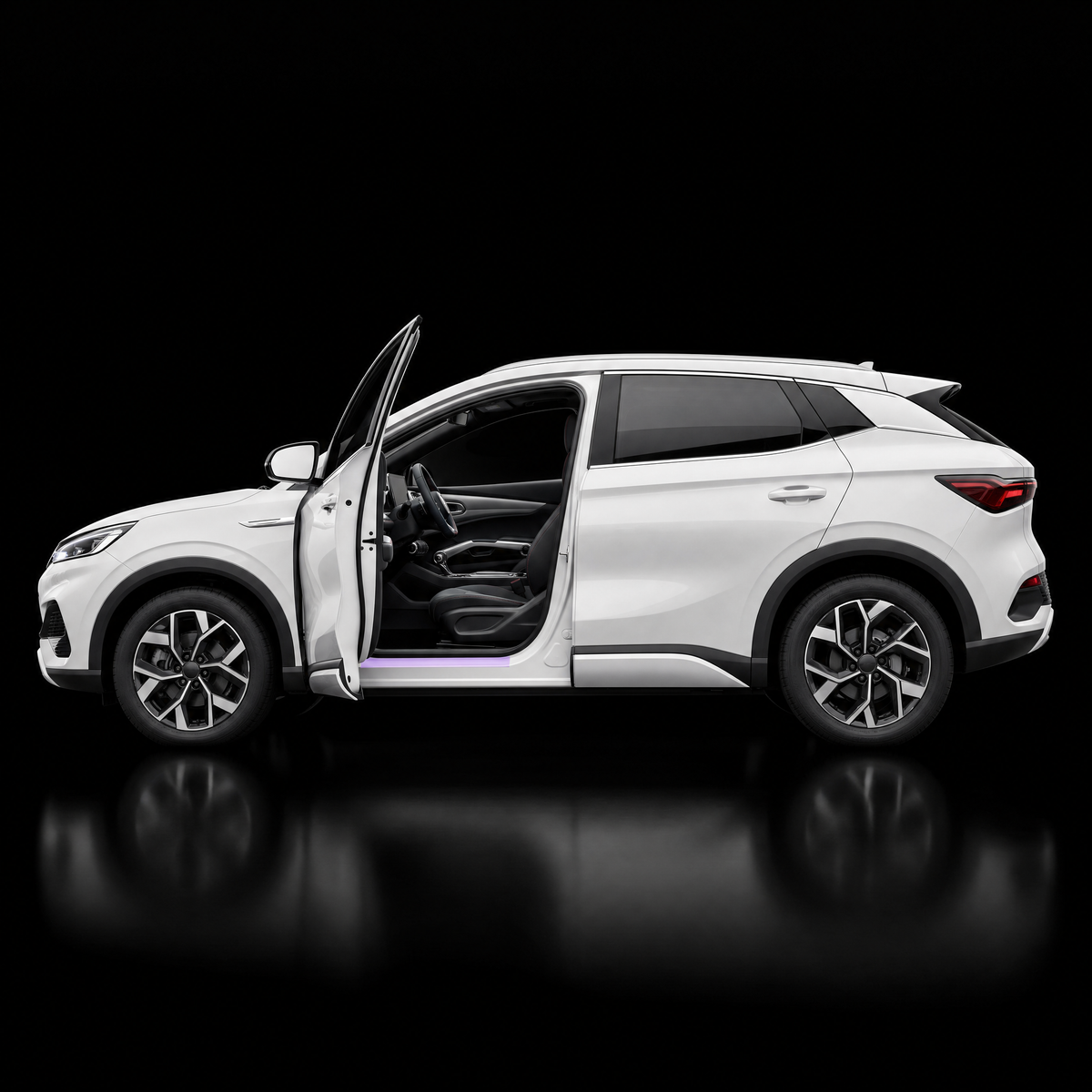 Door Seal Protection - BYD Atto 3
