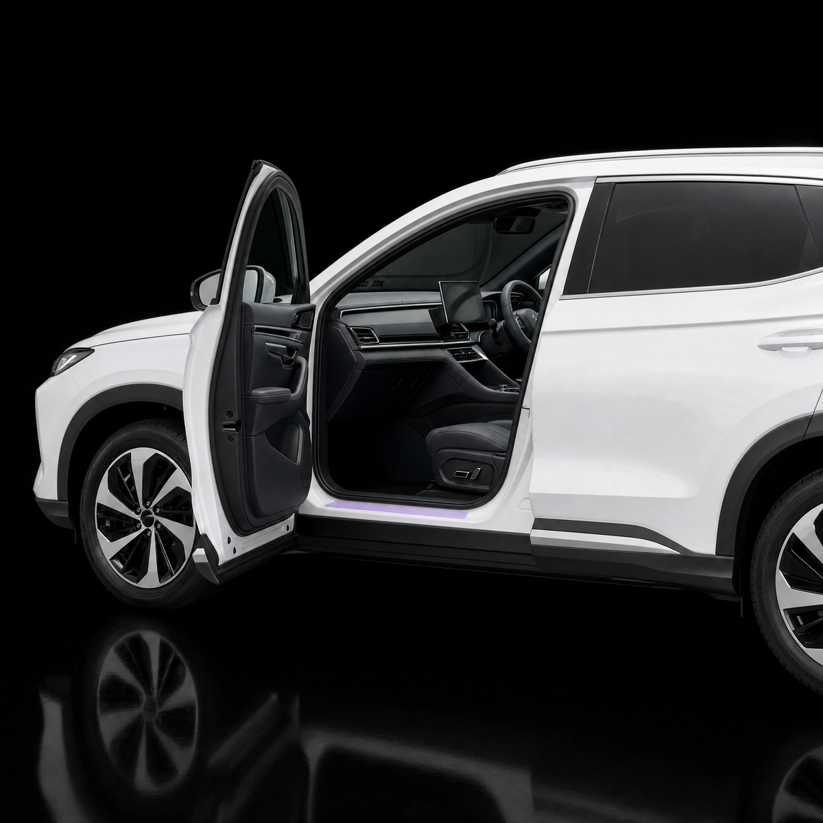Door Seal Protection - BYD Sealion 6
