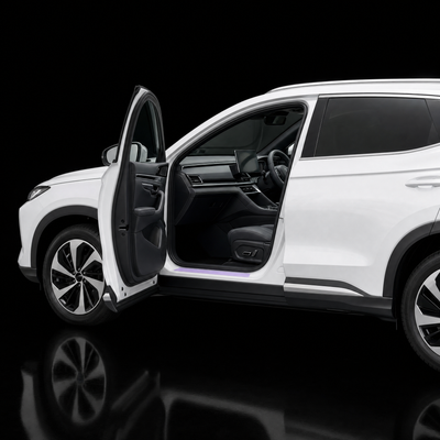 Door Seal Protection - BYD Sealion 6