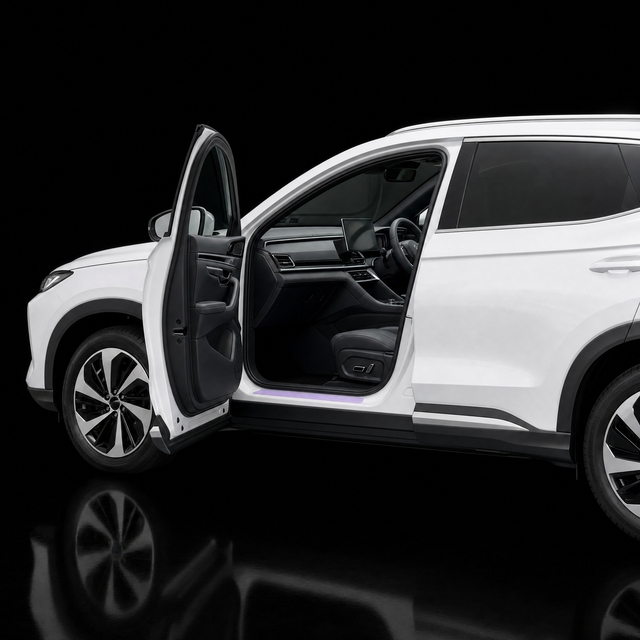 Door Seal Protection - BYD Sealion 6
