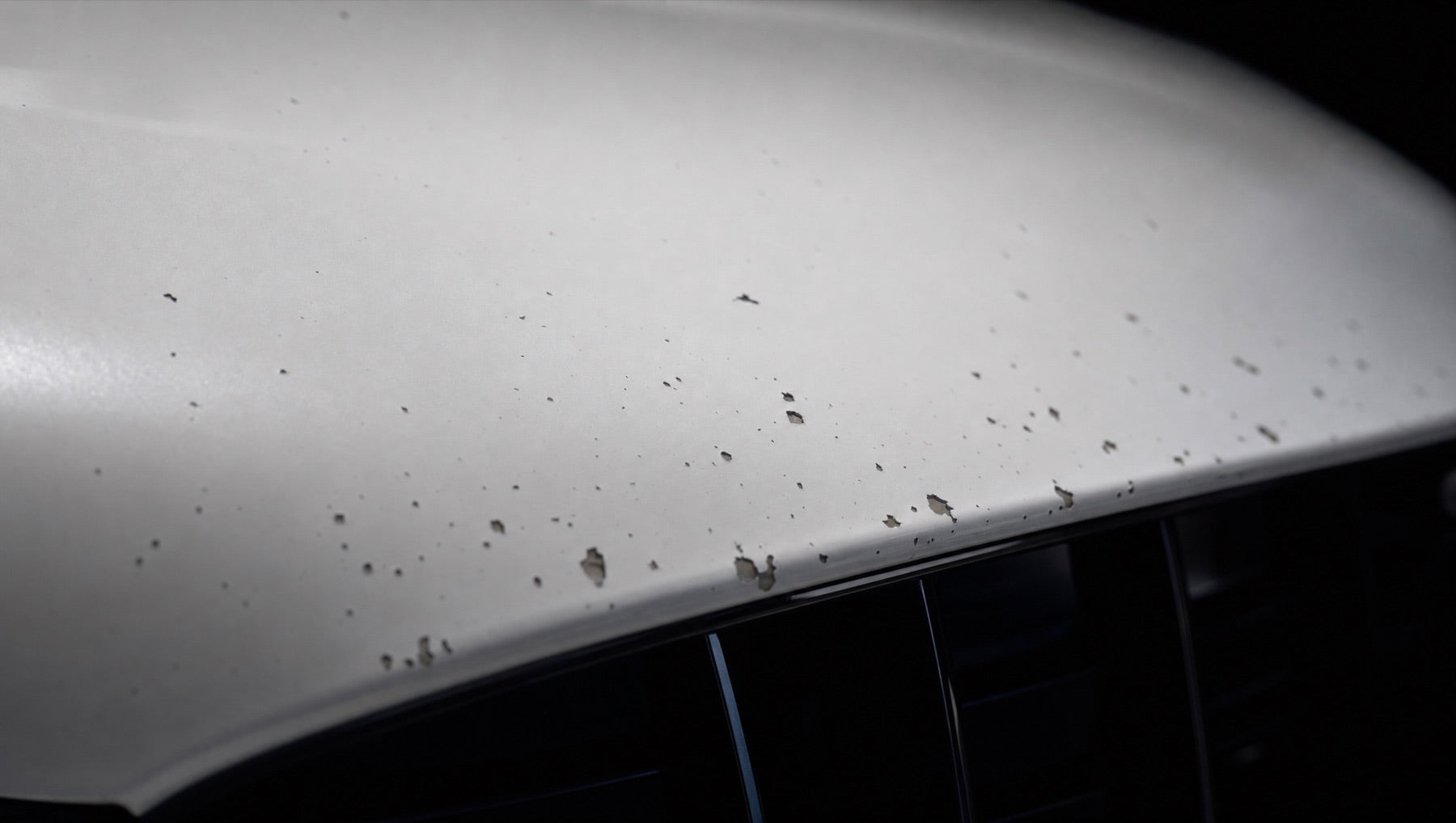 At highway speed, loose stones are sandblasting your bonnet.